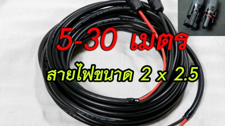 โซ่ล่าเซลล์ 2567