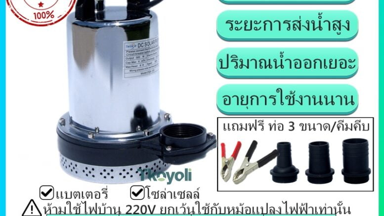 โซ่ล่าเซลล์ 2567