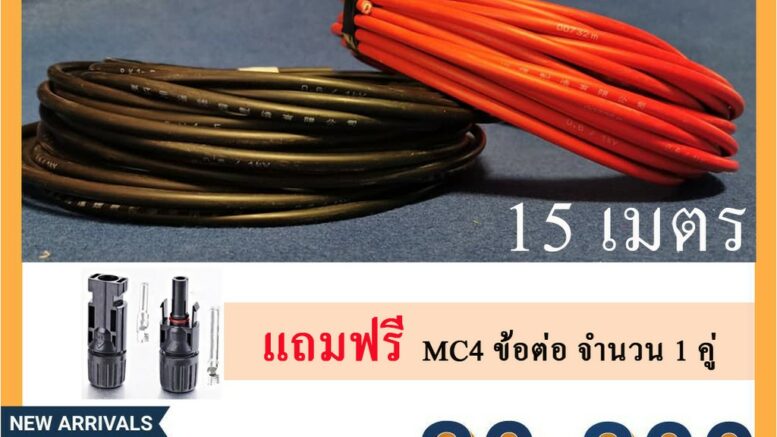 โซ่ล่าเซลล์ 2567