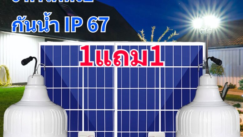 โซ่ล่าเซลล์ 2567