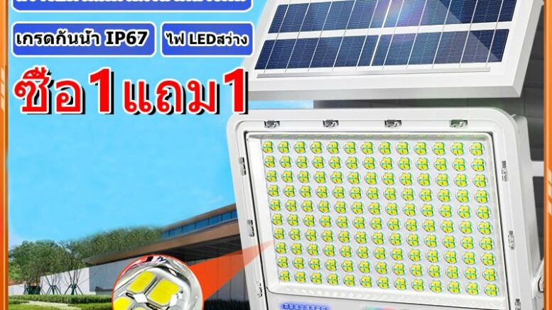 โซ่ล่าเซลล์ 2567