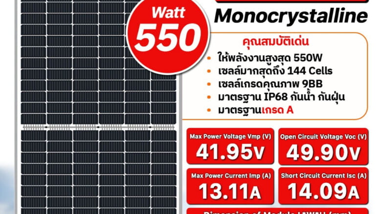 โซ่ล่าเซลล์ 2567