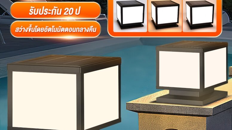 โซ่ล่าเซลล์ 2567